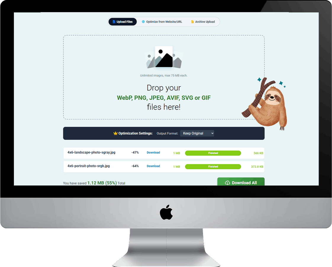 LossLessimg.com Optimizer Web Application Interface Screenshot